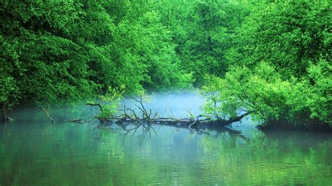 pond images hd|pictures of ponds and nature.